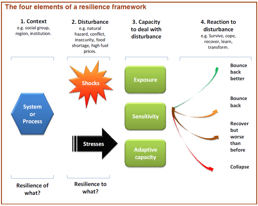 Disaster Resilience Related Topics